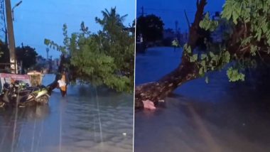 Cyclone Michaung in Tamil Nadu: Strong Winds Accompanied With Heavy Rainfall Lash Parts of Chennai, Uproot Trees As Rainwater Enters Residential Areas (Watch Videos)